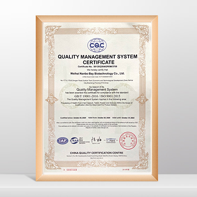 QUALITY MANAGEMENT SYSTEM CERTIFICATE