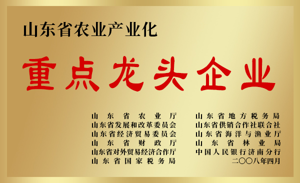 重點(diǎn)龍頭企業(yè).jpg